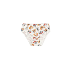 Girls Briefs-Pack of 5