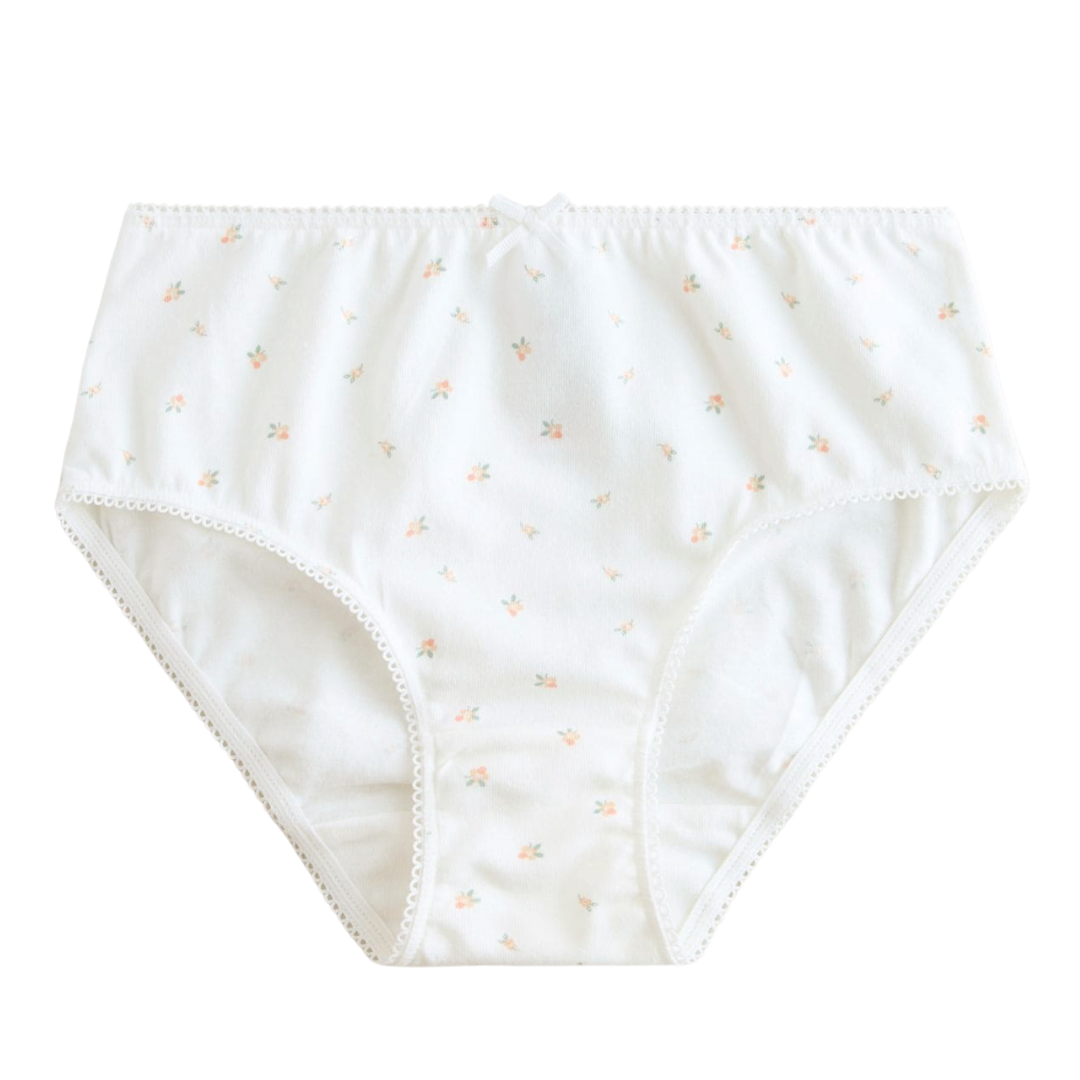 Girls Brief-Pack of 10