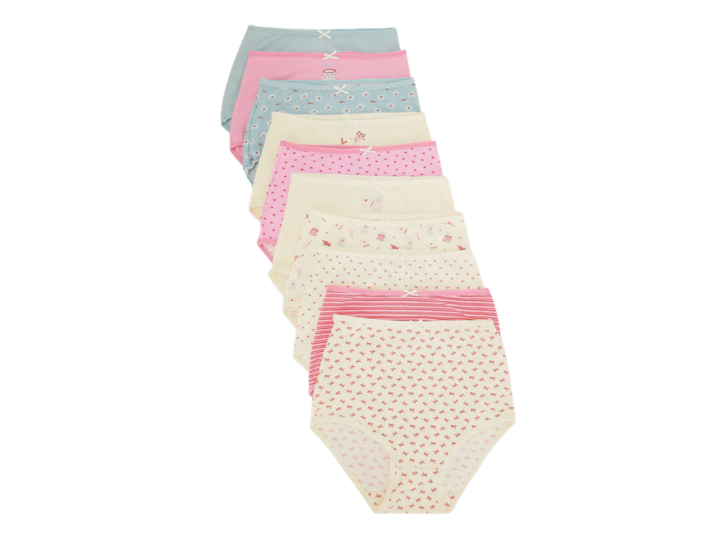 Women Brief Panties – 10Pack