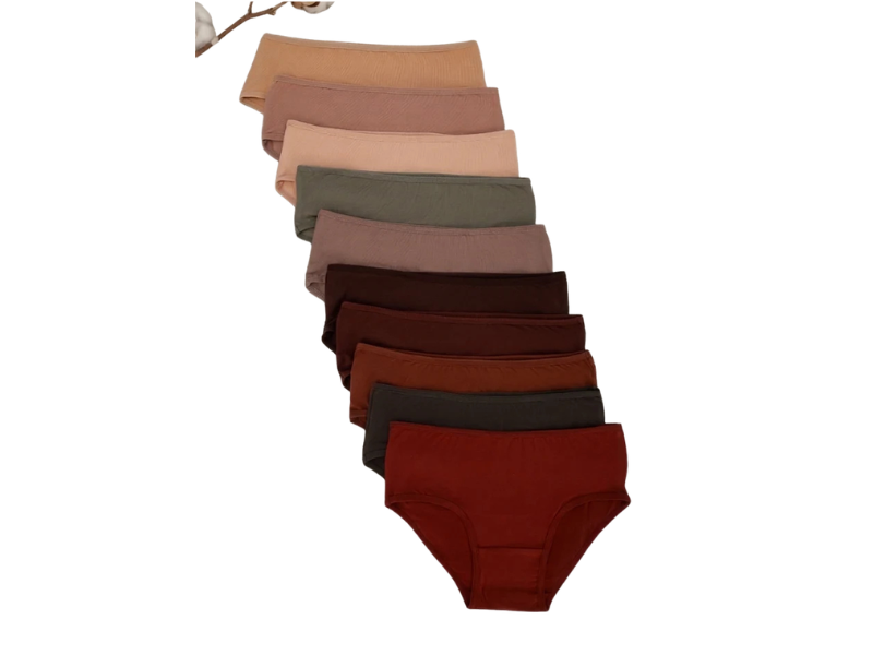 Women Brief Panties – 10Pack