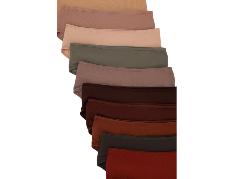 Women Brief Panties – 10Pack