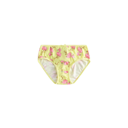 Girls Briefs-Pack of 5
