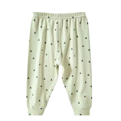 Baby Jogger2