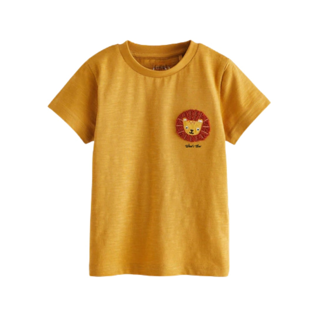 Boys Short Sleeve T-Shirt Front view 4