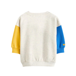Boys Sweatshirt Back View