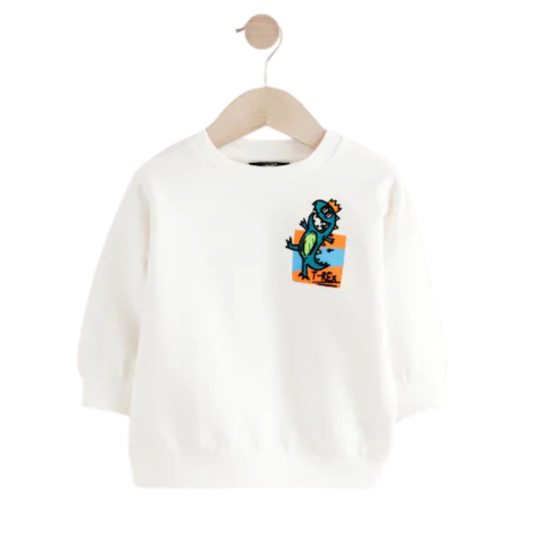 Boys Sweatshirt front 1