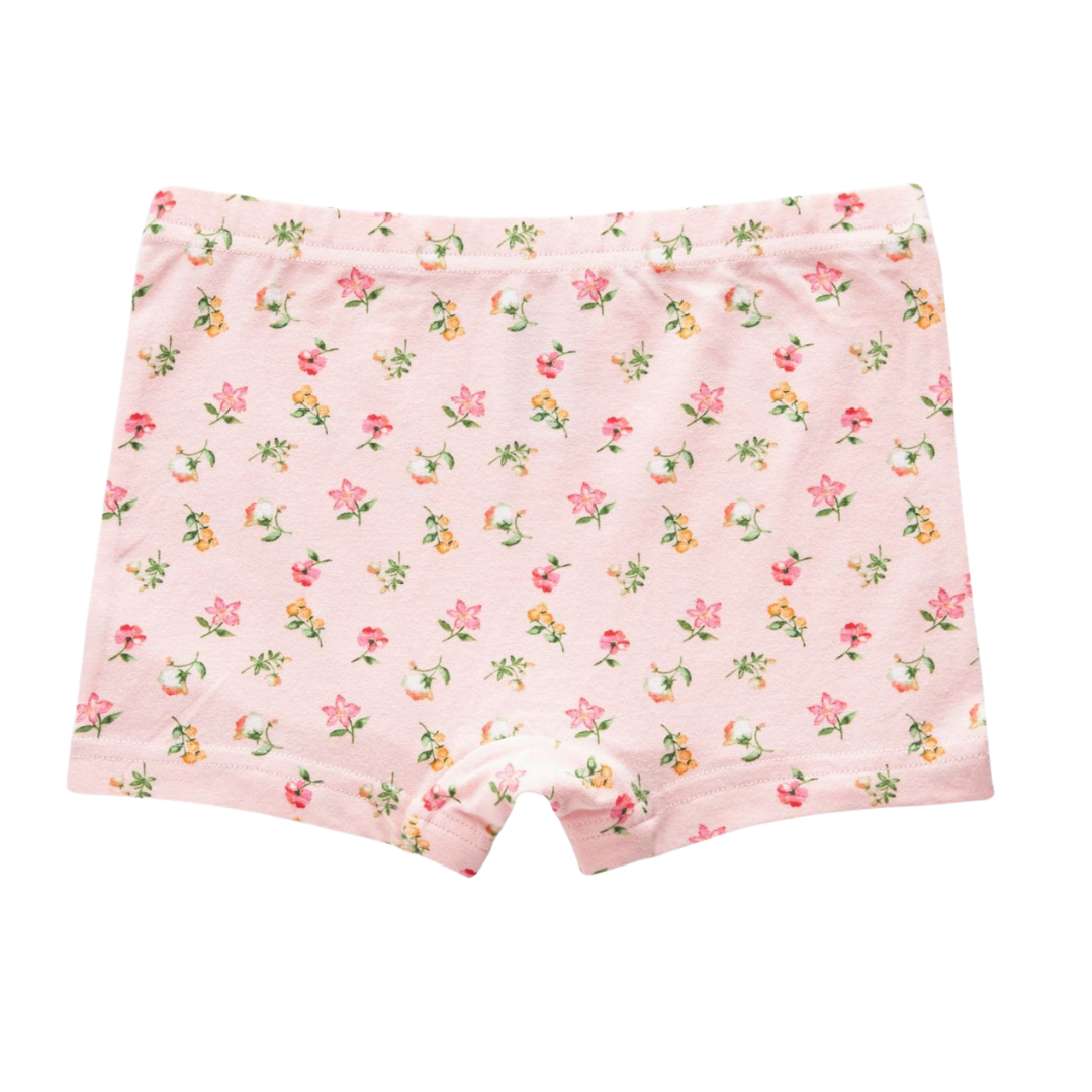 Girls Boxer Shorts Briefs-Pack of 5